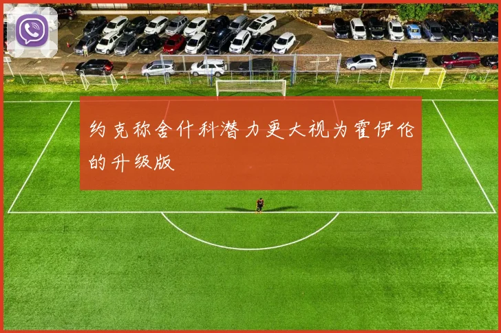 约克称舍什科潜力更大视为霍伊伦的升级版