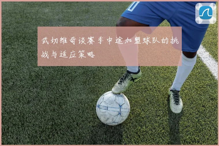 武切维奇谈赛季中途加盟球队的挑战与适应策略