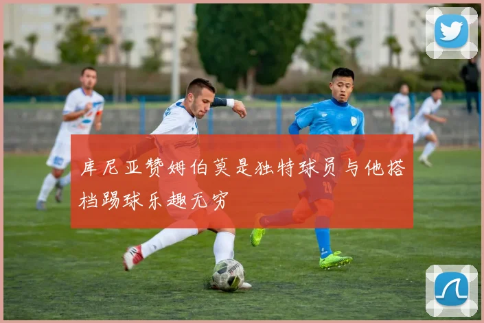 库尼亚赞姆伯莫是独特球员与他搭档踢球乐趣无穷